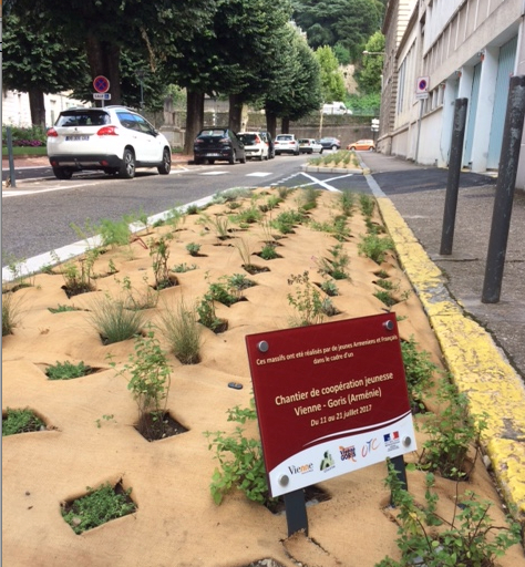 Vienne Goris : chantier d’été