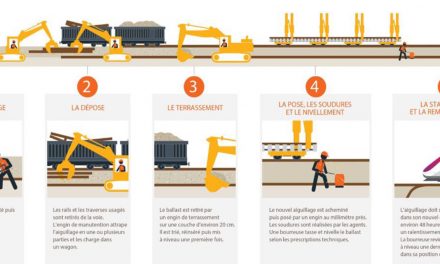 Travaux sur les aiguillages : pas de train ce week-end en gare de Vienne…