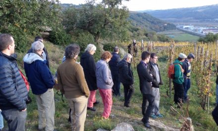 L’occasion de découvrir les 18 viticulteurs de la rive gauche : Pressailles samedi sur les coteaux de Seyssuel