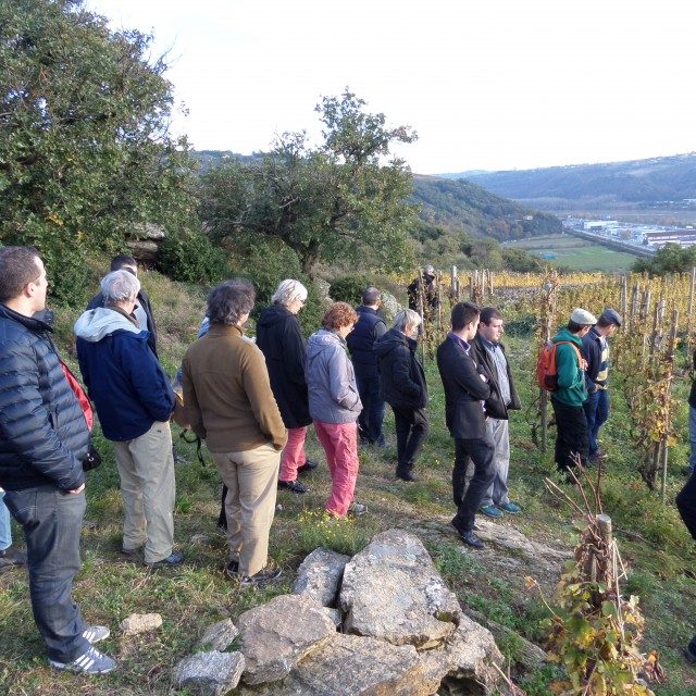 L’occasion de découvrir les 18 viticulteurs de la rive gauche : Pressailles samedi sur les coteaux de Seyssuel