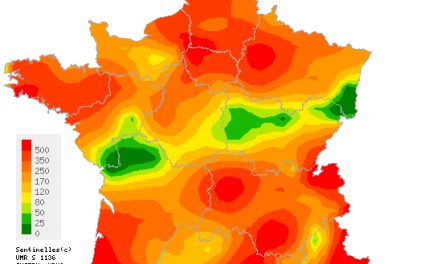 L’épidémie est déclarée en Rhône-Alpes : la grippe s’invite pour le réveillon du jour de l’an…