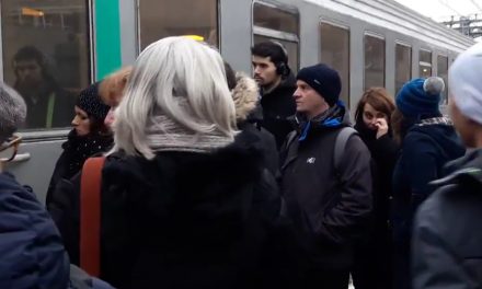 Retards, annulations : récit d’une journée ordinaire sur la ligne SNCF entre Vienne et Lyon