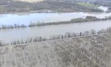 Vidéo : les images des plaines du Nord-Isère volontairement inondées pour épargner Lyon