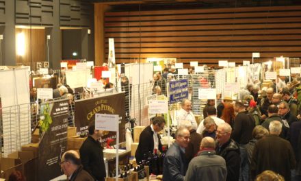 2 800 visiteurs : le salon Intervin de Vienne a bénéficié ce week-end d’un « effet Manège »