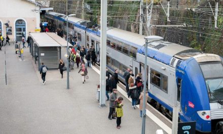 La grève SNCF s’annonce très suivie : pas de TER entre Vienne et Villefranche, via Lyon, demain