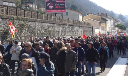 Journée de grève nationale : un millier de manifestants dans les rues de Vienne