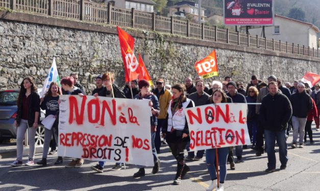 Journée de grève nationale : un millier de manifestants dans les rues de Vienne