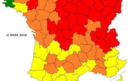 En Isère : alerte rouge aux pollens de bouleaux