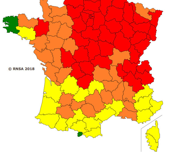 En Isère : alerte rouge aux pollens de bouleaux