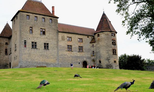 Idée de sortie : repris par Blandine et Benoît Deron, le château de Septème désormais ouvert au public…