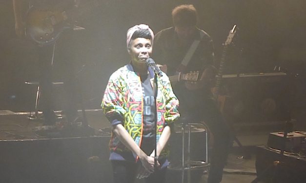 Plus de 7 500 festivaliers  pour Imany à Jazz à Vienne : show devant !