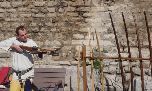 Affluence à la 7ème édition de la Fête historique : plus de 25 000 personnes à Vienne