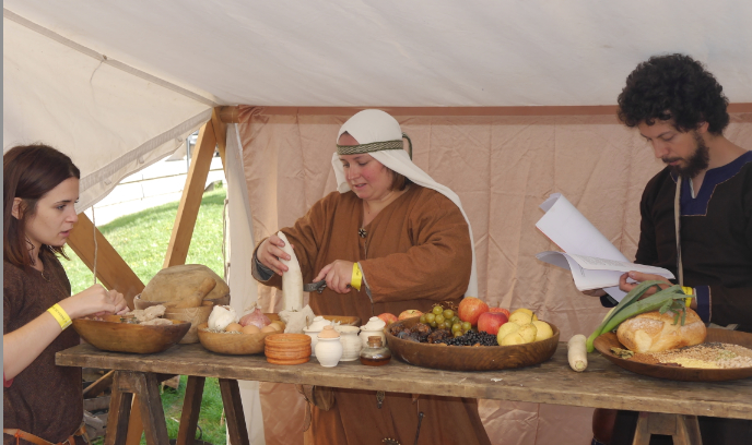 Affluence à la 7ème édition de la Fête historique : plus de 25 000 personnes à Vienne