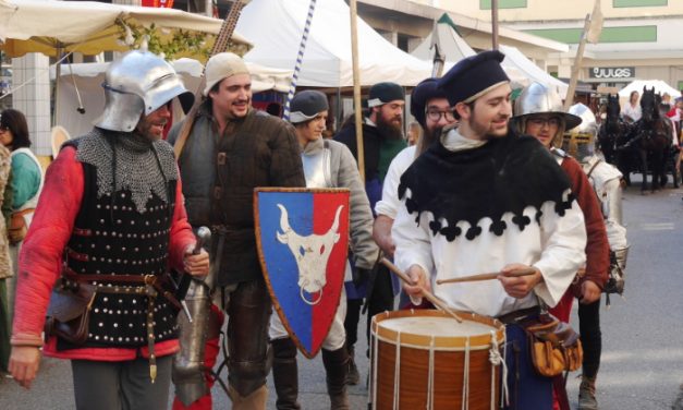 Affluence à la 7ème édition de la Fête historique : plus de 25 000 personnes à Vienne