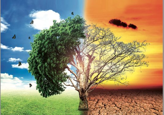 « Le plus grand défi de l’histoire de l’humanité » : l’appel de 200 personnalités pour sauver la planète