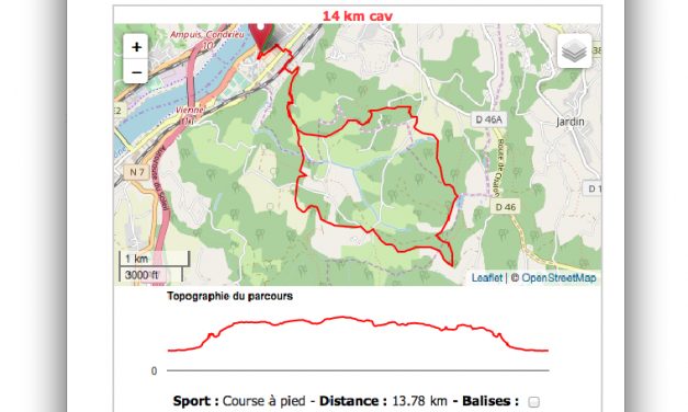 Six cents coureurs attendus dimanche dans les rues de Vienne
