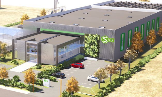 Salaise-sur-Sanne : une usine de 8 700  m² pour élever des …mouches et en extraire la molécule du futur !