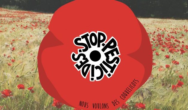 Une manif contre les pesticides aujourd&rsquo;hui place du Temple à Vienne