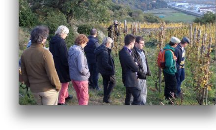 De nouvelles découvertes en perspective : la Fête des Pressailles, à Chasse-sur-Rhône, c’est demain samedi !