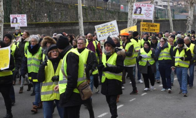 400 gilets jaunes manifestent à nouveau à Vienne, cette fois pour un Référendum d’Initiative Citoyenne