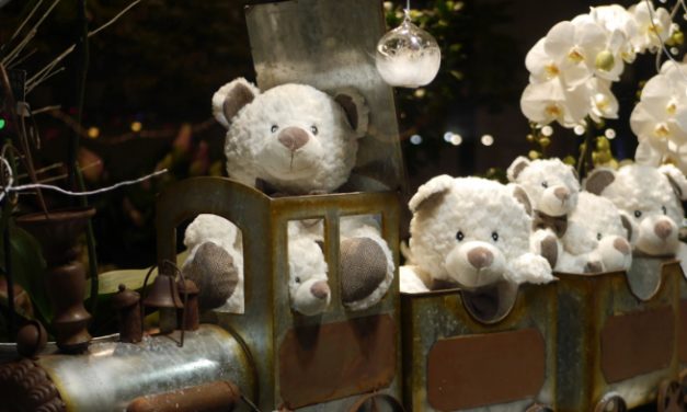 8 décembre à Vienne : plein les yeux