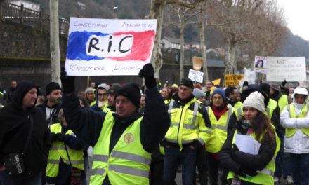 400 gilets jaunes manifestent à nouveau à Vienne, cette fois pour un Référendum d’Initiative Citoyenne