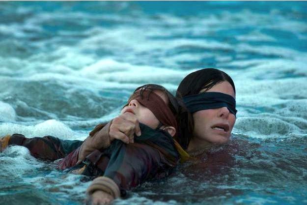 Issu d’un film de Netflix : la gendarmerie du Rhône met en garde contre le Bird Box Challenge…