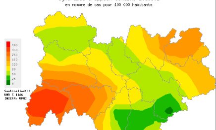 Désormais en phase épidémique : la grippe est arrivée en Auvergne-Rhône-Alpes