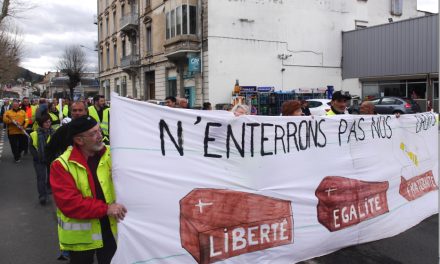 Manifestation des Gilets Jaunes à Vienne : une moindre mobilisation