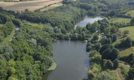 Un nouveau parc de loisirs : Adventure Group ouvre le 22 juin à Diemoz son « projet fou », de « Bois des lutins »…