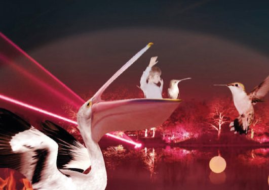 Trop chaud pour visiter le Parc aux oiseaux de Villard-les-Dombes par temps de canicule : visitez le, la nuit !