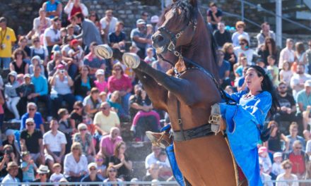 Brrr… : la Fête Historique de Vienne a lieu ce week-end sur le thème  « Rois maudits et sortilèges »…