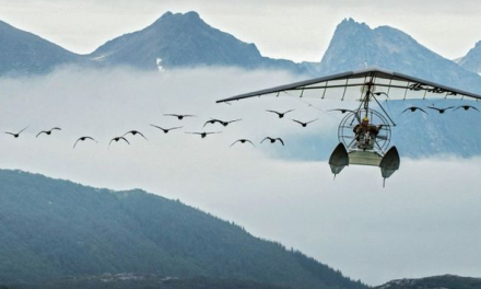 « Donne-moi des ailes » : avant-première mardi au Kinepolis à Bourgoin du film-événement en présence de Nicolas Vannier