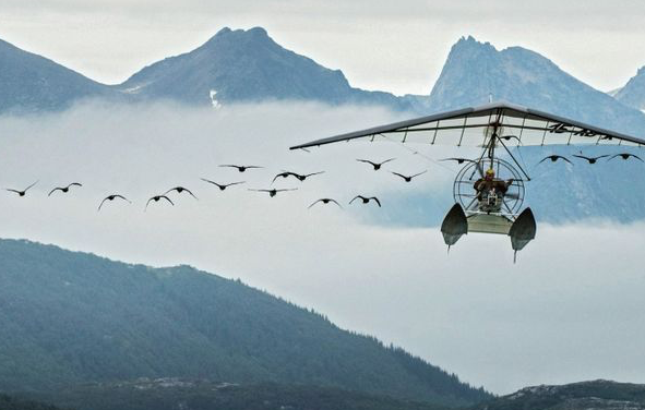 « Donne-moi des ailes » : avant-première mardi au Kinepolis à Bourgoin du film-événement en présence de Nicolas Vannier