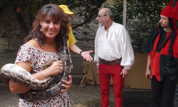 Fête Historique de Vienne : animations colorées, orage, musiques et bagarres, retour sur images