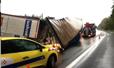 Poids-lourd en portefeuille sur l’A 7 à hauteur de Vienne : gros bouchons en cours