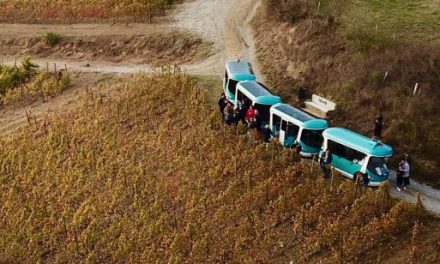 Samedi, les viticulteurs des coteaux de Seyssuel et de Chasse vous invitent à célébrer les Pressailles avec eux