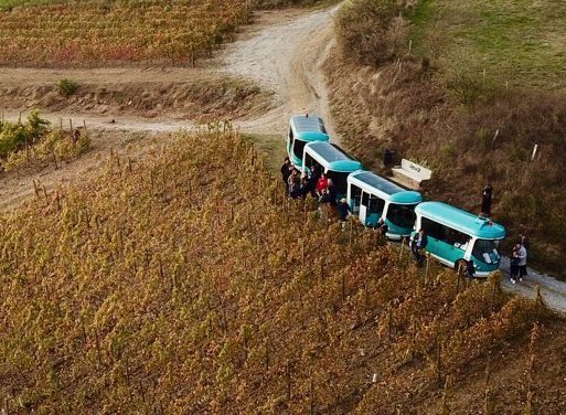 Samedi, les viticulteurs des coteaux de Seyssuel et de Chasse vous invitent à célébrer les Pressailles avec eux