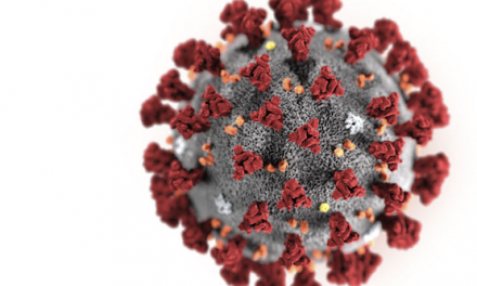 Coronavirus : 11 personnes infectées ou suspectées de l’être, hospitalisées au CHU de Grenoble et à Lyon-Croix Rousse