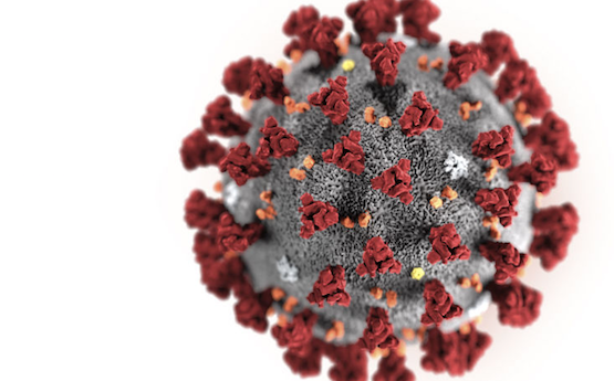 Coronavirus : 11 personnes infectées ou suspectées de l’être, hospitalisées au CHU de Grenoble et à Lyon-Croix Rousse