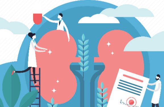 Coronavirus : prévue le 12 mars,  la Journée du dépistage de maladies chroniques du rein annulée à Vienne