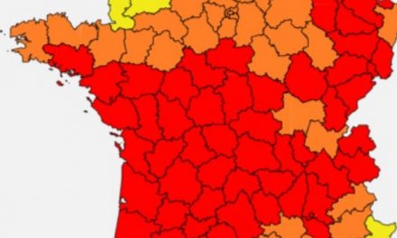 Allergies : alerte rouge aux pollens de graminées dans le Rhône et l’Isère