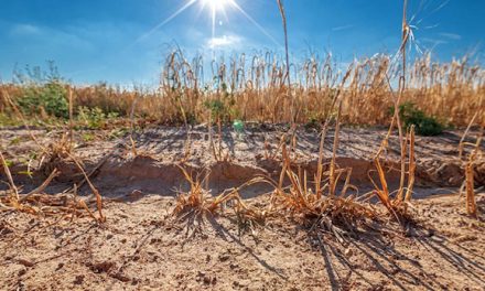 Vienne et 36 communes de l’Isère rhodanienne mises en alerte sécheresse par la préfecture de l’Isère