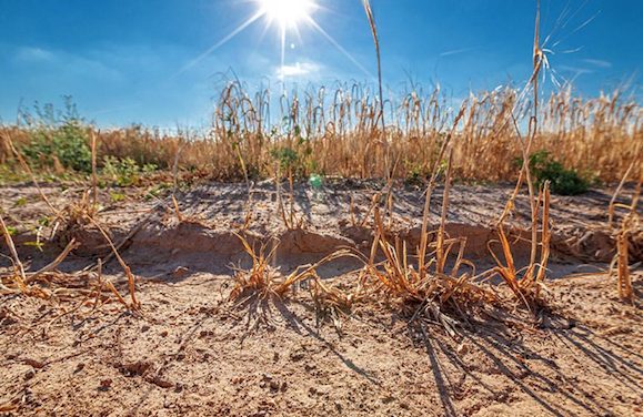 Vienne et 36 communes de l’Isère rhodanienne mises en alerte sécheresse par la préfecture de l’Isère