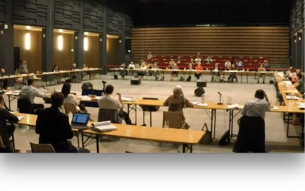 Conseil municipal : le verdissement de Vienne au centre des débats