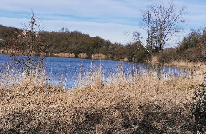 Un corps retrouvé dans un étang près de Villefontaine : celui de l’étudiante disparue, Victorine