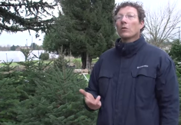 Une pépinière de sapins de Noël à Vienne, Ryma Prost-Romand, entrepreneure de l’année, etc. : le journal TV de la semaine