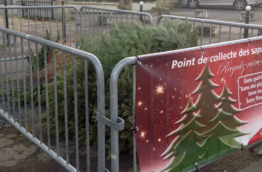 Collecte de sapins à Vienne : à partir de demain lundi, les lieux où les déposer