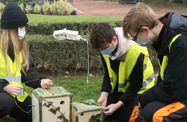 Une expo en plein air au Jardin de Ville, un Drive du vin demain à St-Germain, etc. : le journal TV de Vienne