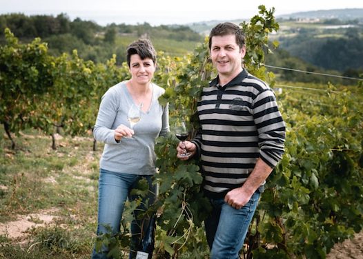 Du 5 au 7 mars : le salon des vins bio aura bien lieu à Condrieu, mais de manière dispersée, en 4 caves…